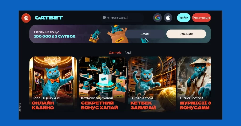 Основна інформація про Catbet